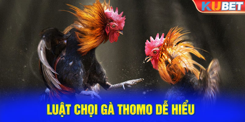 Luật chọi gà thomo dễ hiểu 